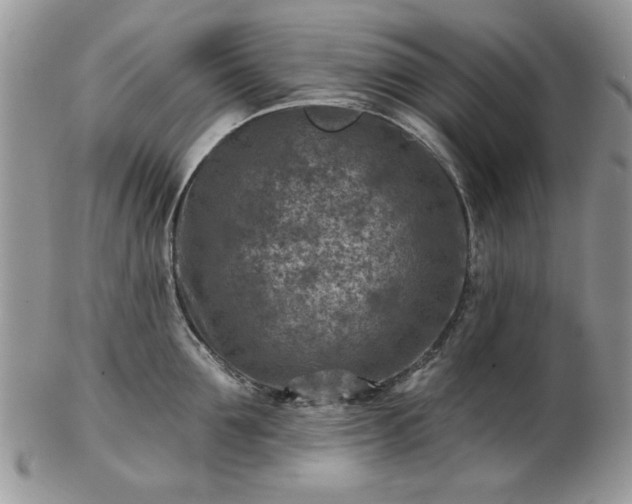 X0000102820907200808251108