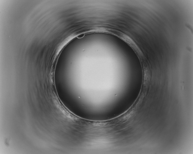 X0000102820908200808251108
