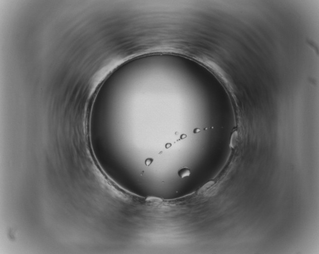 X0000102820910200808251108