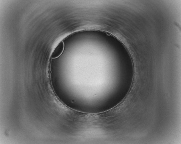 X0000102820912200808251108