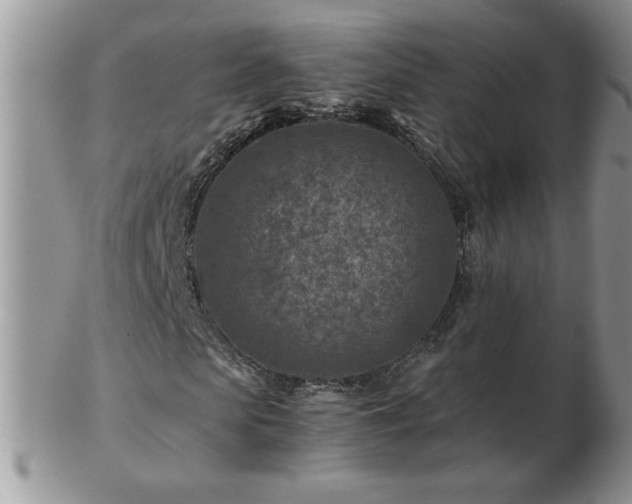 X0000102820913200808251107