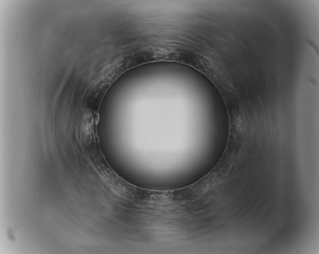 X0000102820914200808251107