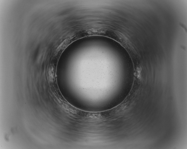 X0000102820915200808251107