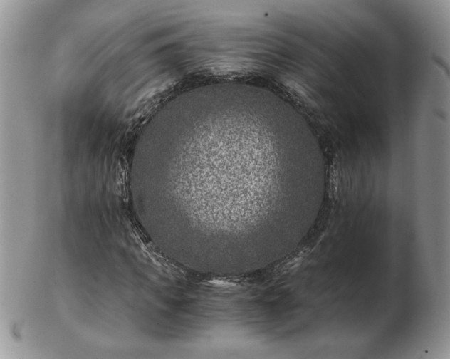 X0000102820917200808251107