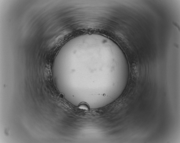 X0000102820918200808251107
