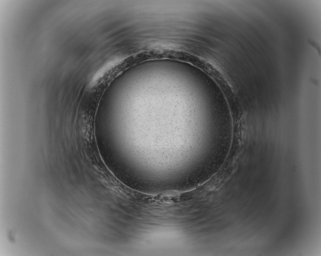 X0000102820919200808251107