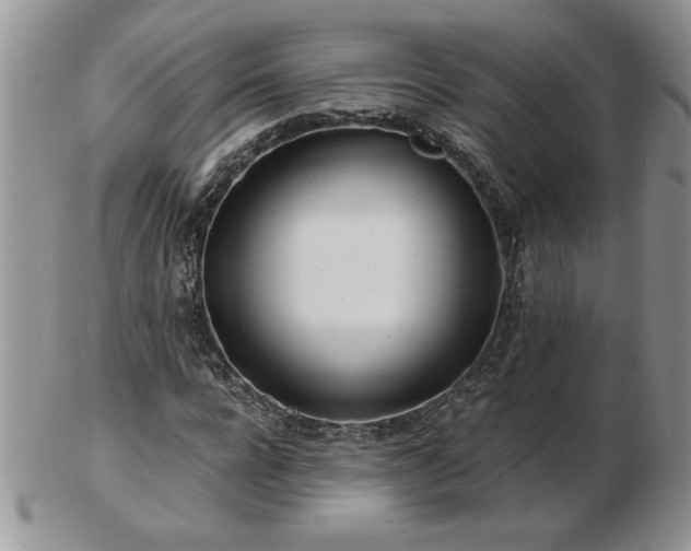 X0000102820920200808251107