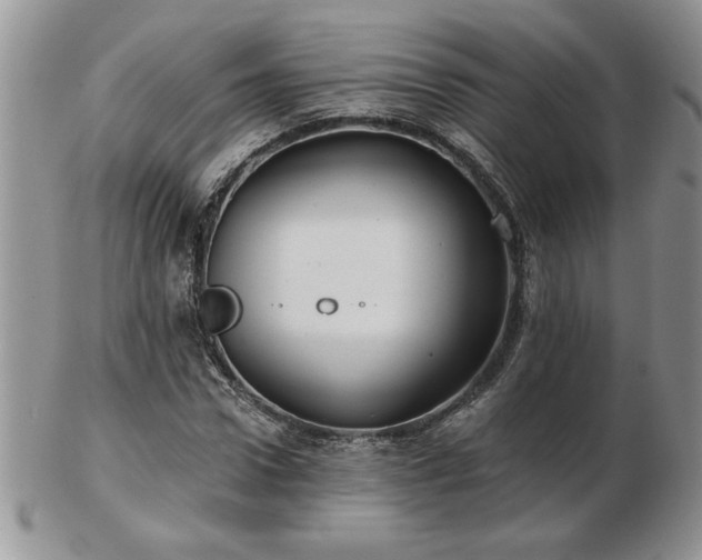 X0000102820922200808251107
