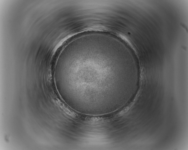 X0000102820923200808251107