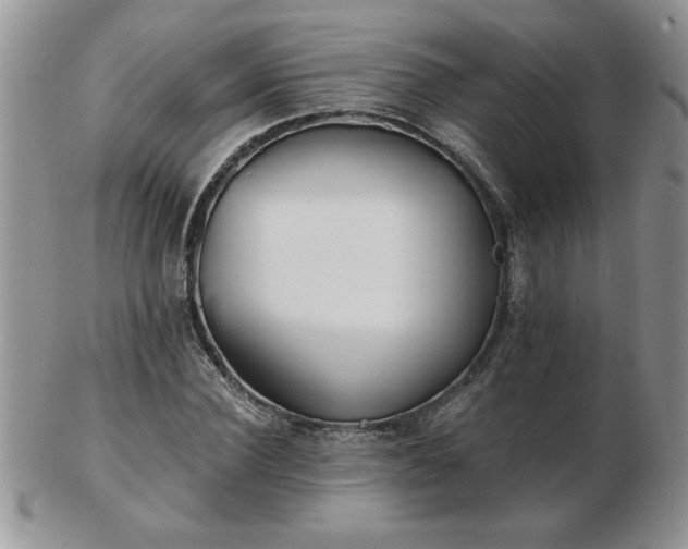 X0000102820924200808251107