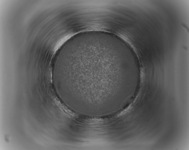 X0000102820925200808251107
