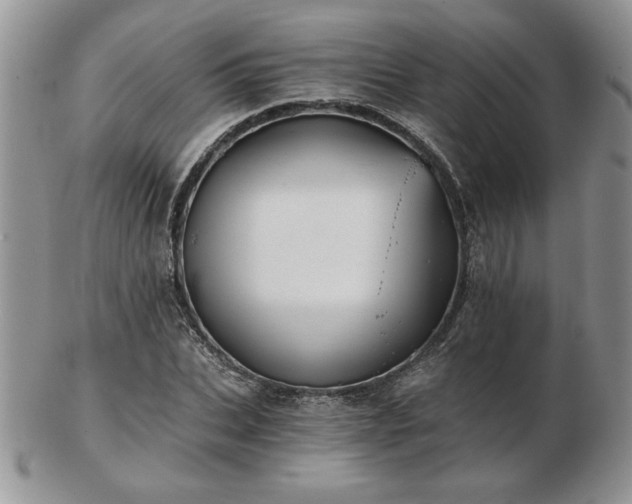 X0000102820927200808251107