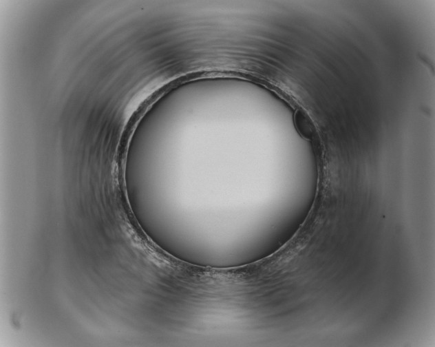 X0000102820928200808251107
