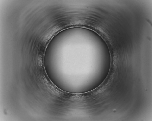 X0000102820929200808251107