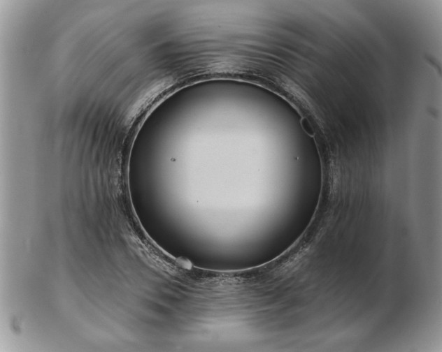 X0000102820930200808251107