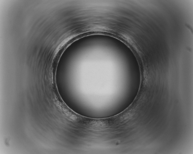 X0000102820931200808251107