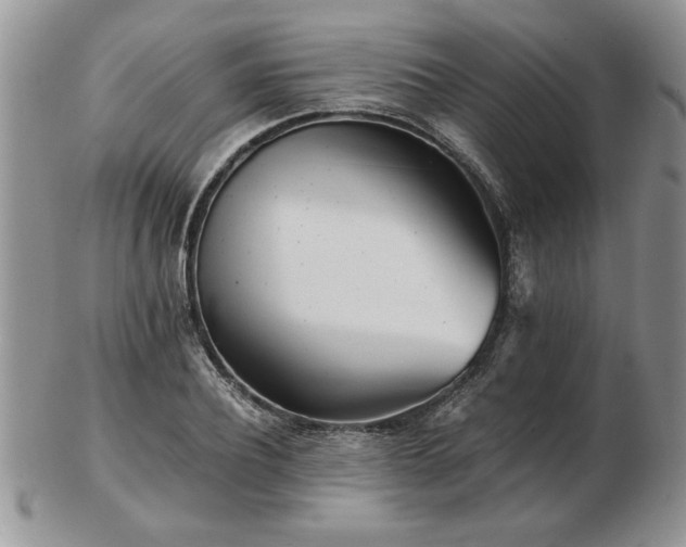 X0000102820932200808251107