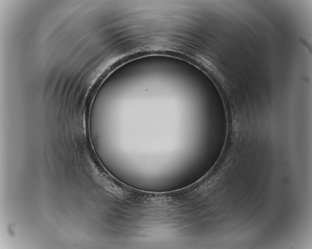 X0000102820934200808251107