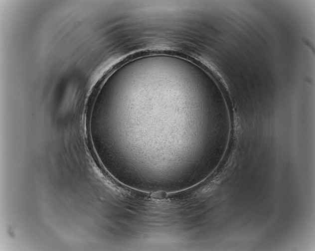 X0000102820935200808251107