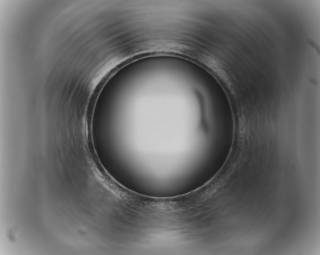 X0000102820936200808251107