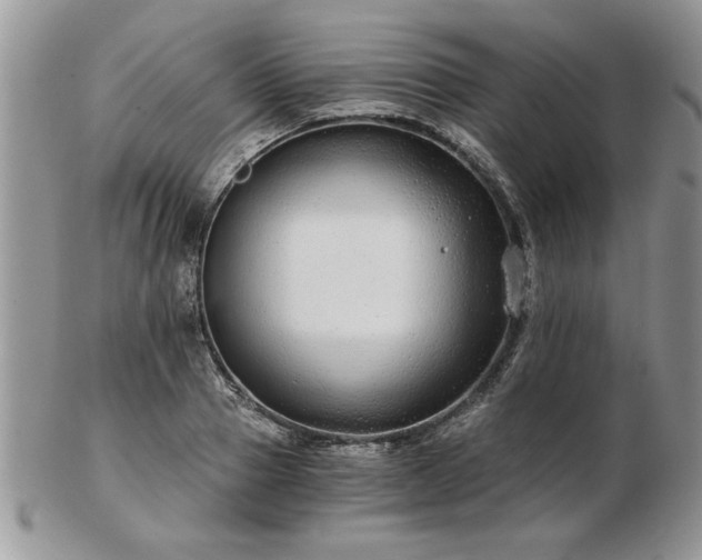 X0000102820937200808251107