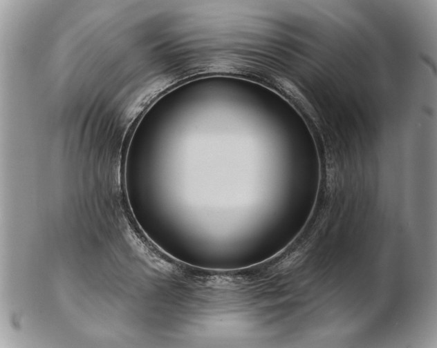 X0000102820938200808251107