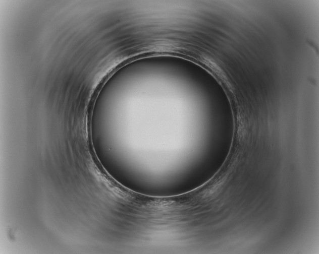 X0000102820939200808251107
