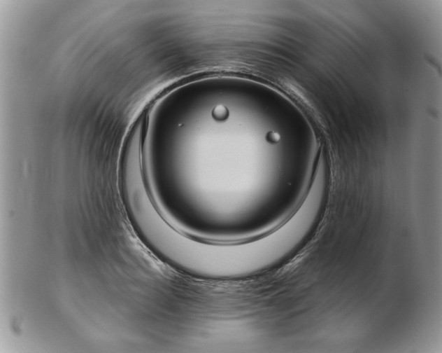X0000102820940200808251107