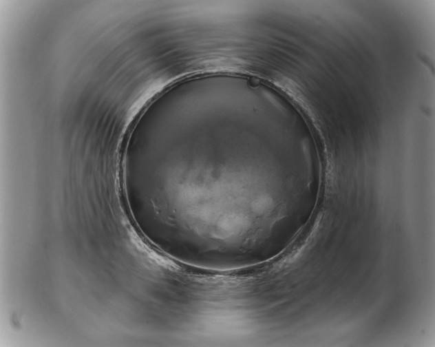 X0000102820941200808251107