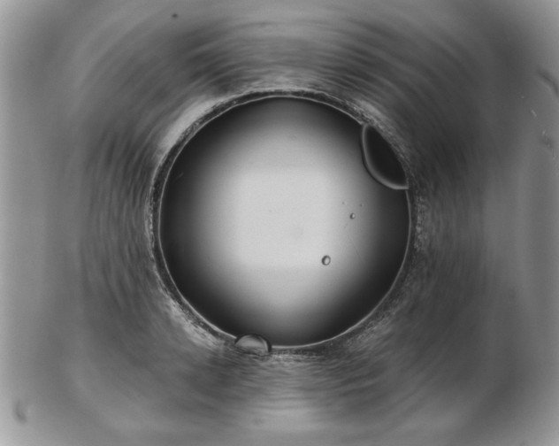 X0000102820942200808251107