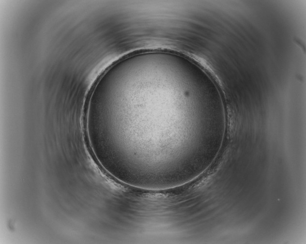 X0000102820943200808251107