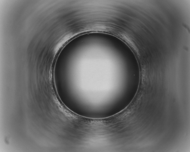 X0000102820944200808251107