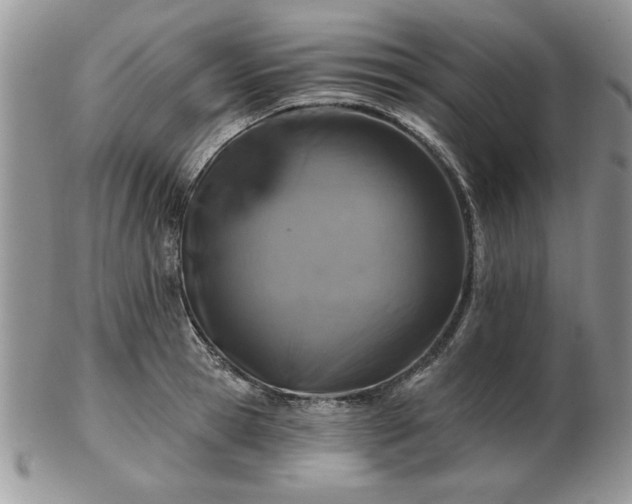 X0000102820945200808251107
