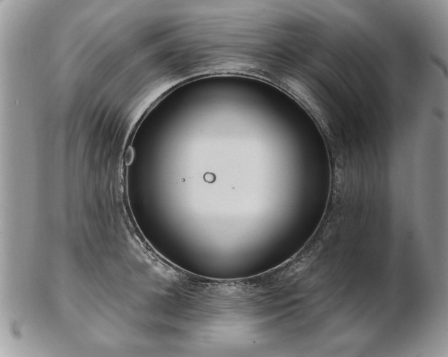 X0000102820948200808251107