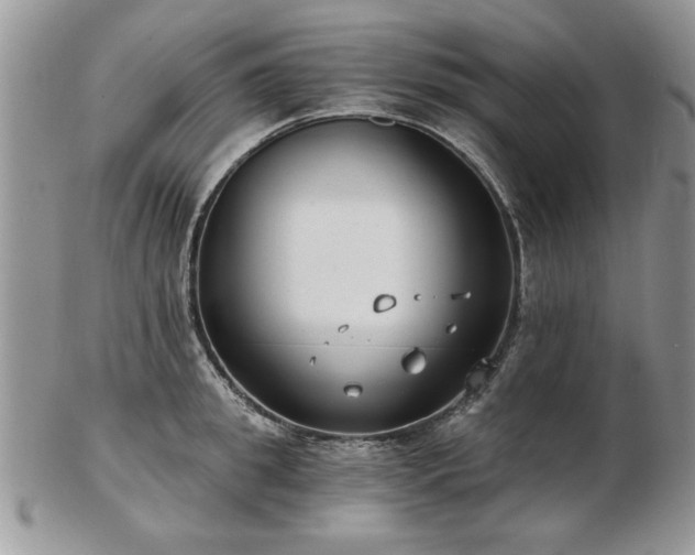 X0000102820949200808251107