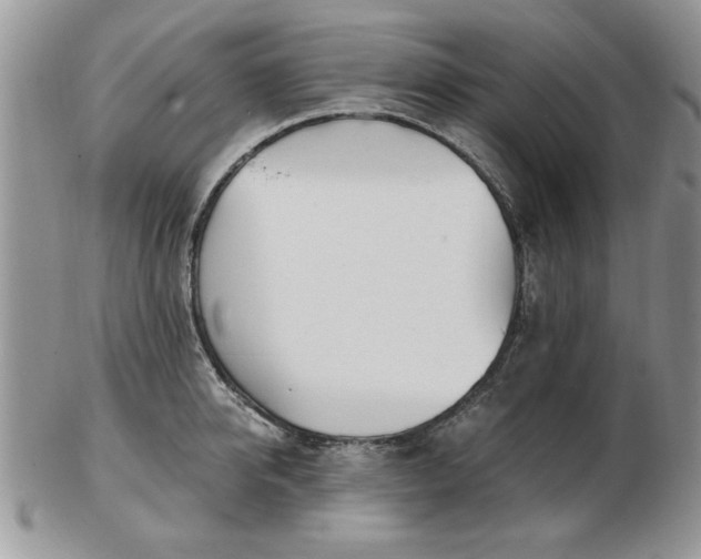 X0000102820950200808251107