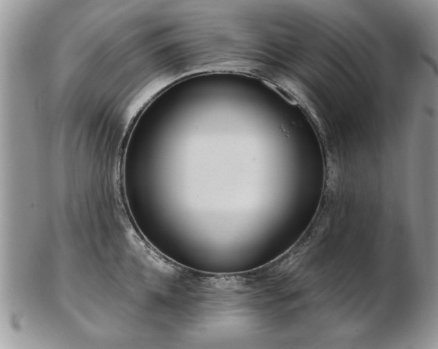 X0000102820952200808251108