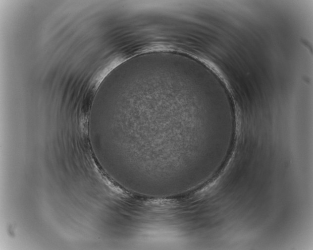 X0000102820953200808251108