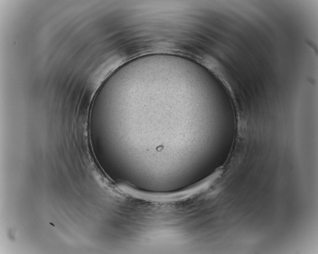 X0000102820954200808251108