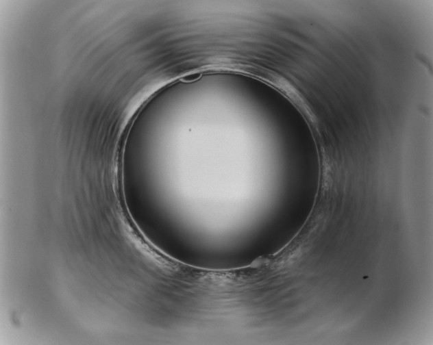 X0000102820955200808251108