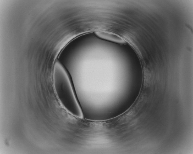 X0000102820956200808251108