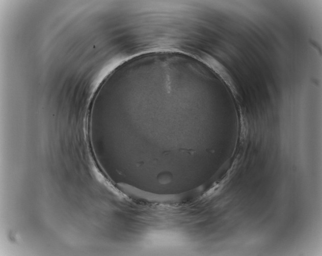 X0000102820958200808251108
