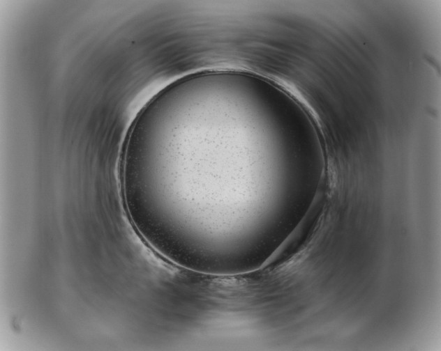 X0000102820959200808251108