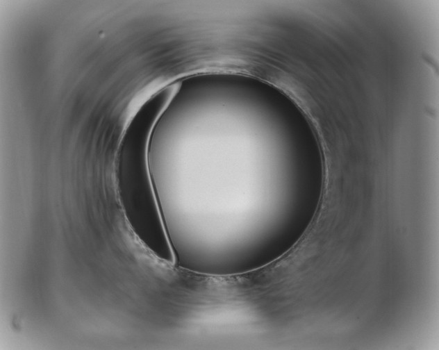 X0000102820960200808251108