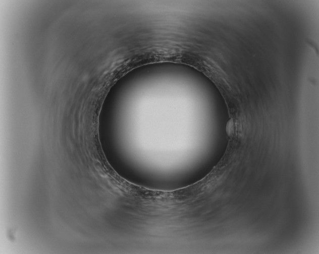 X0000102820961200808251107