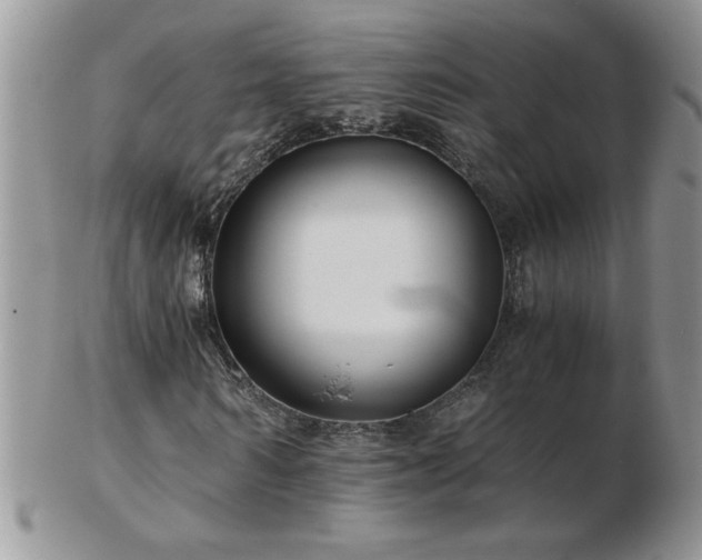 X0000102820962200808251107