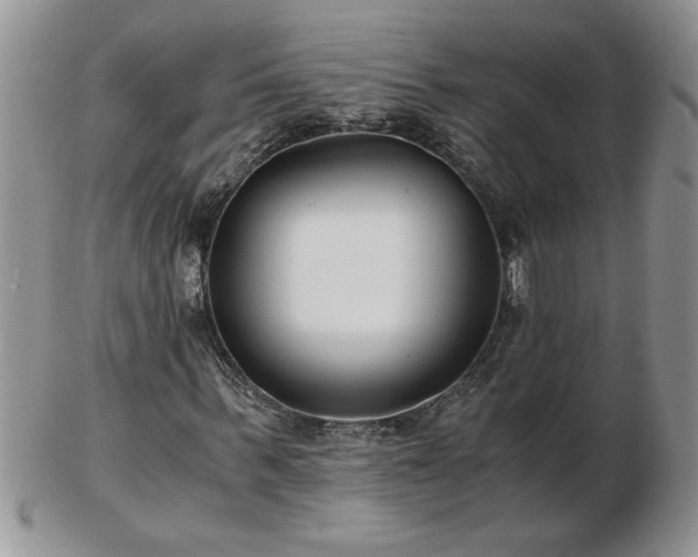 X0000102820963200808251107