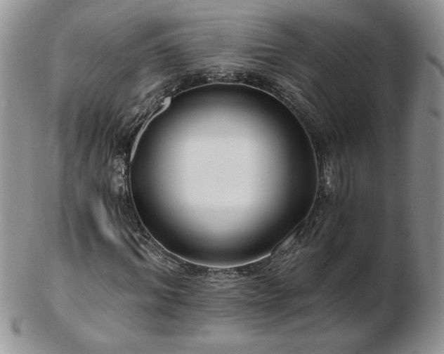 X0000102820964200808251107