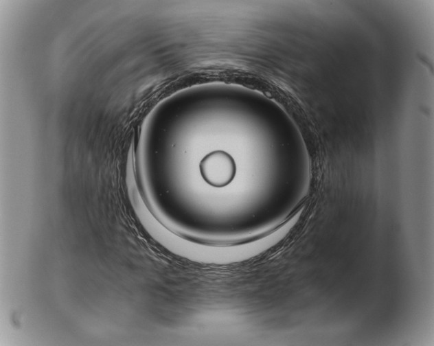 X0000102820965200808251107