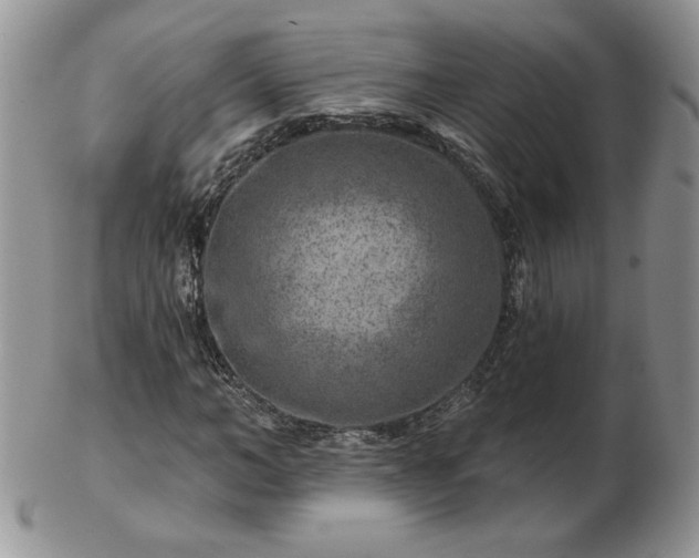 X0000102820966200808251107
